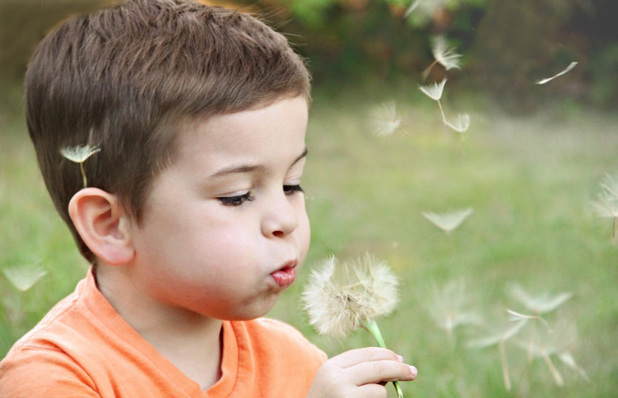 Photo of a little boy blowing on a dandelion