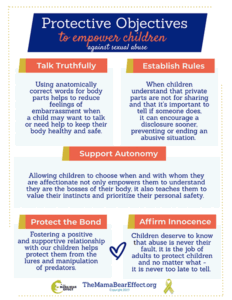 Cover of Protective Objectives