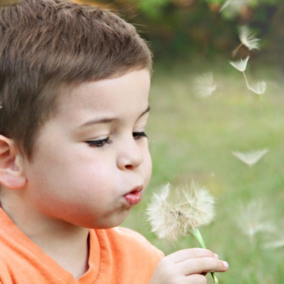 Photo of a little boy blowing on a dandelion